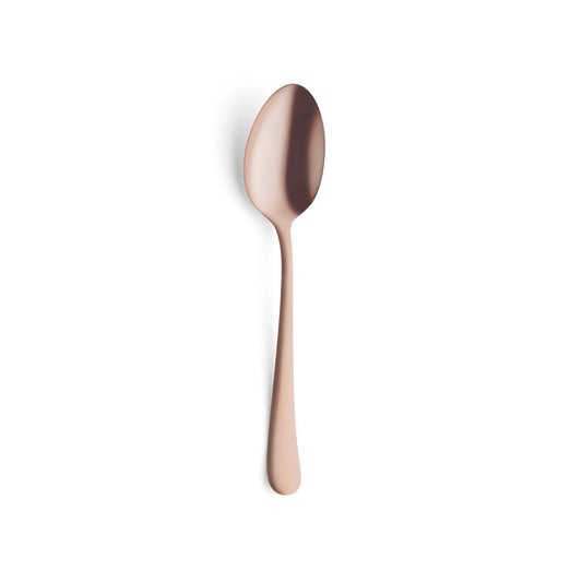 CAJA 12 CUCHARAS CAFE COPPER